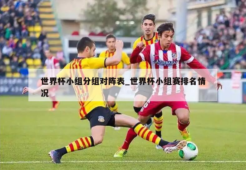 世界杯小组分组对阵表_世界杯小组赛排名情况