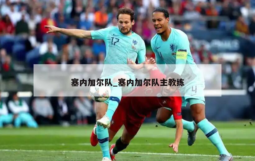 塞内加尔队_塞内加尔队主教练