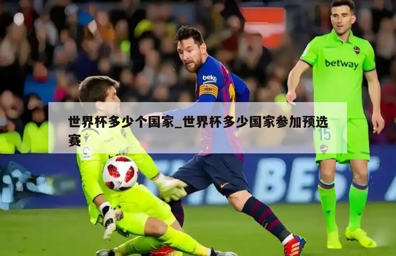世界杯多少个国家_世界杯多少国家参加预选赛