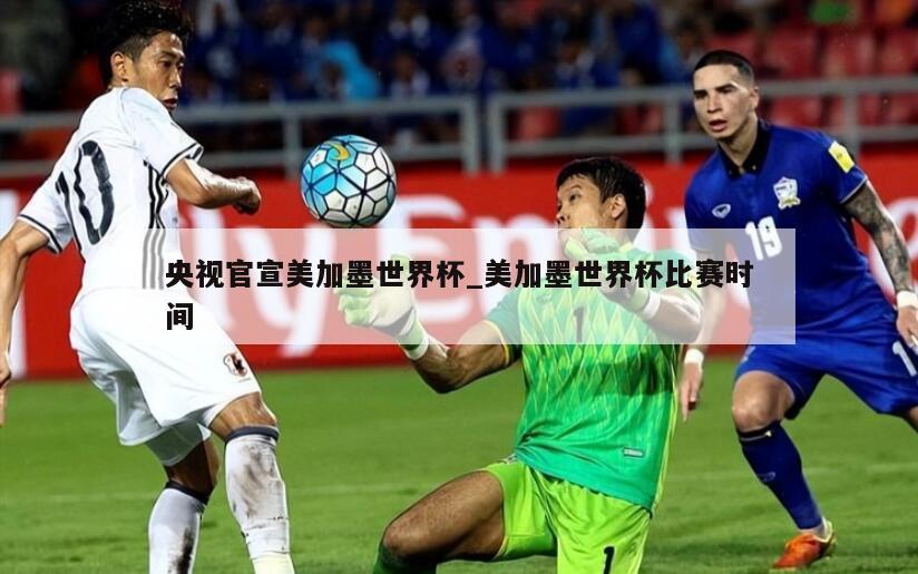 央视官宣美加墨世界杯_美加墨世界杯比赛时间