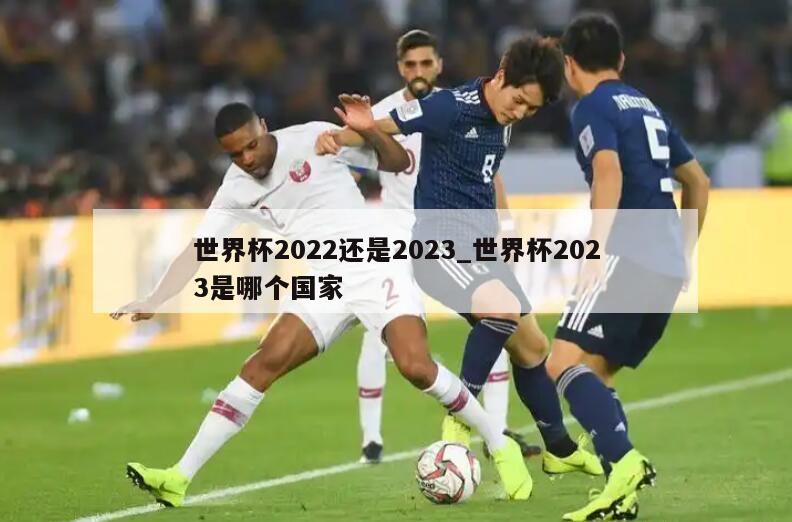世界杯2022还是2023_世界杯2023是哪个国家