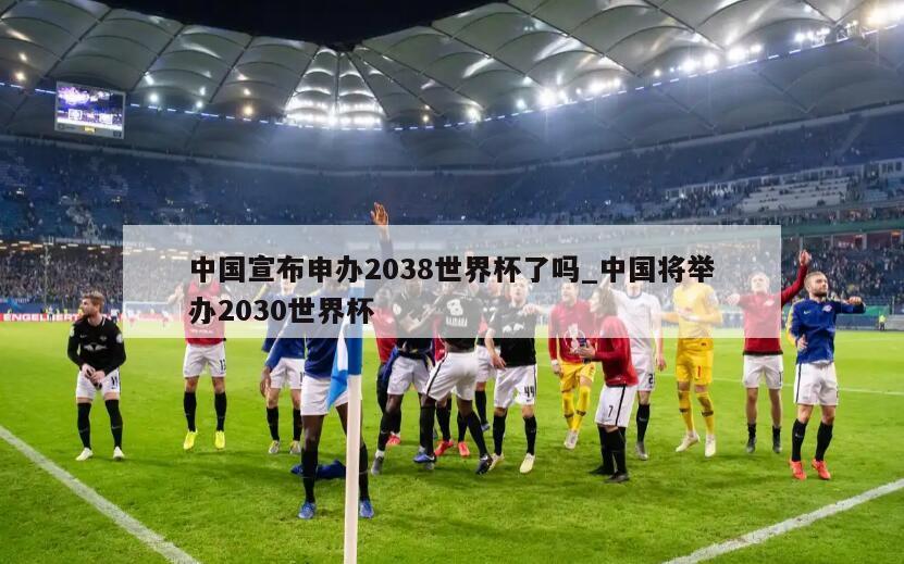 中国宣布申办2038世界杯了吗_中国将举办2030世界杯