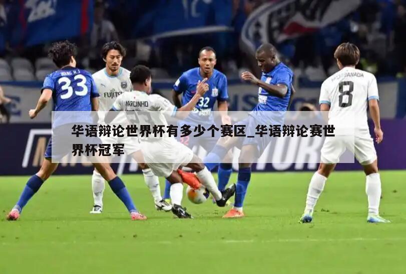 华语辩论世界杯有多少个赛区_华语辩论赛世界杯冠军