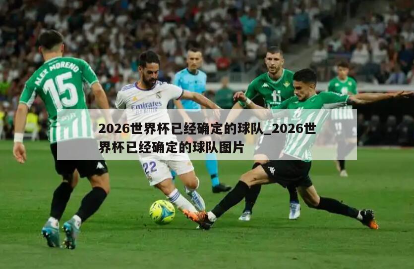2026世界杯已经确定的球队_2026世界杯已经确定的球队图片