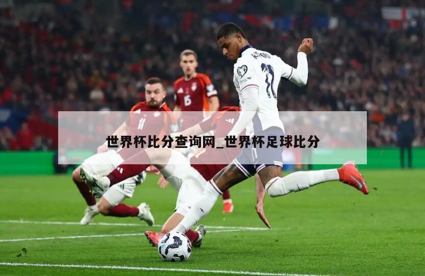世界杯比分查询网_世界杯足球比分