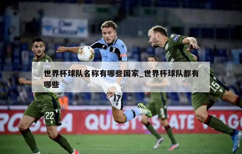 世界杯球队名称有哪些国家_世界杯球队都有哪些