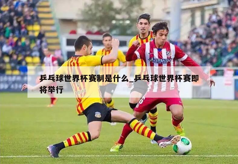 乒乓球世界杯赛制是什么_乒乓球世界杯赛即将举行