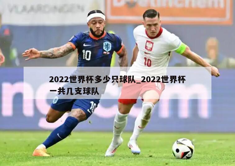 2022世界杯多少只球队_2022世界杯一共几支球队