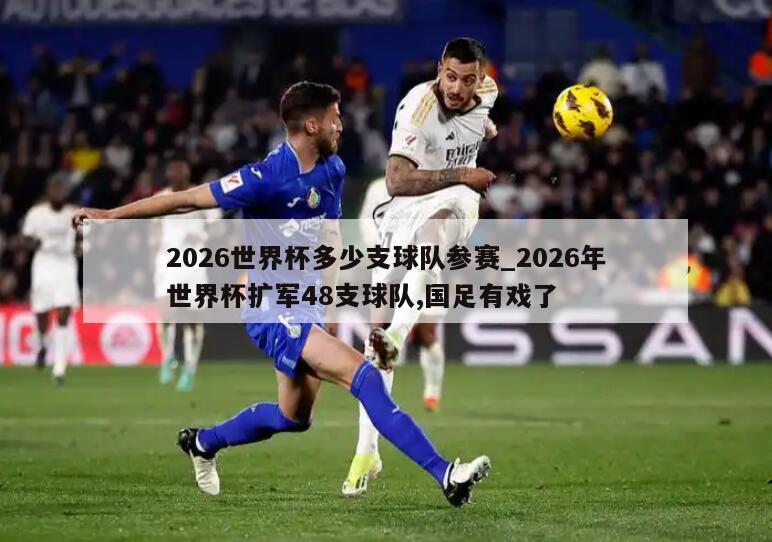 2026世界杯多少支球队参赛_2026年世界杯扩军48支球队,国足有戏了