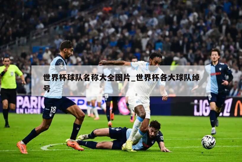 世界杯球队名称大全图片_世界杯各大球队绰号