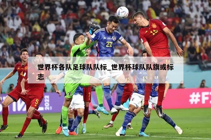 世界杯各队足球队队标_世界杯球队队旗或标志