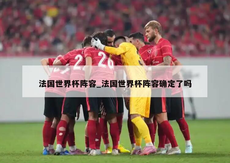 法国世界杯阵容_法国世界杯阵容确定了吗