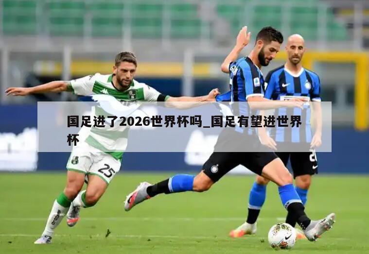 国足进了2026世界杯吗_国足有望进世界杯
