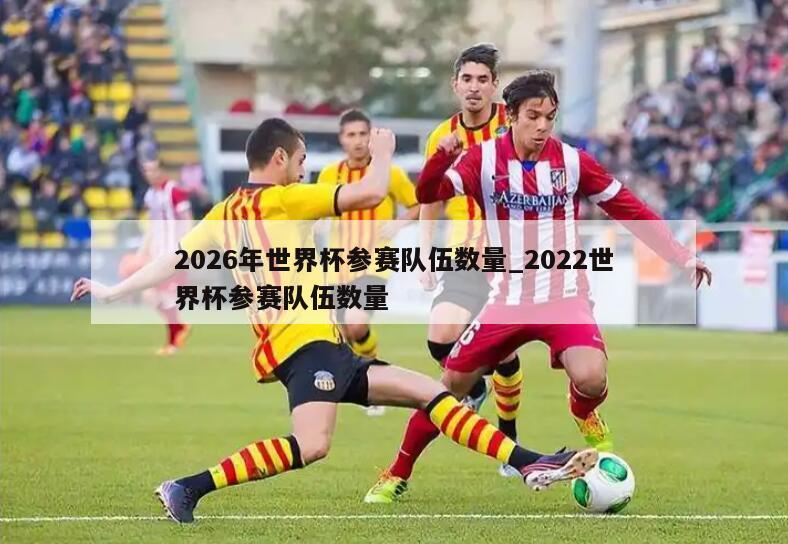 2026年世界杯参赛队伍数量_2022世界杯参赛队伍数量