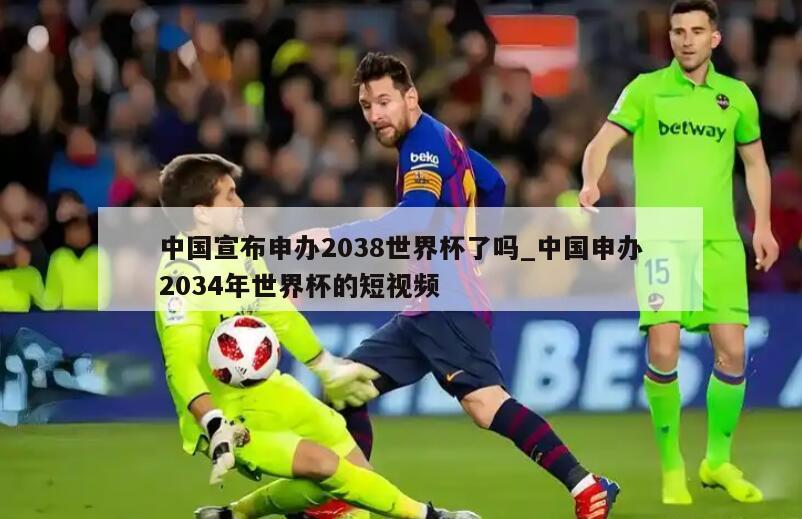 中国宣布申办2038世界杯了吗_中国申办2034年世界杯的短视频