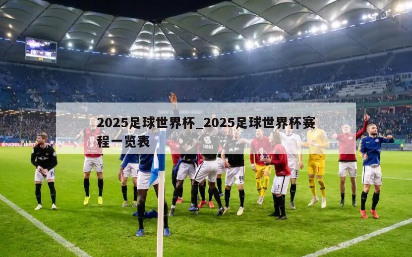 2025足球世界杯_2025足球世界杯赛程一览表