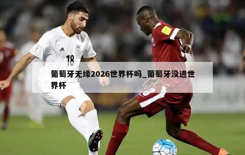 葡萄牙无缘2026世界杯吗_葡萄牙没进世界杯