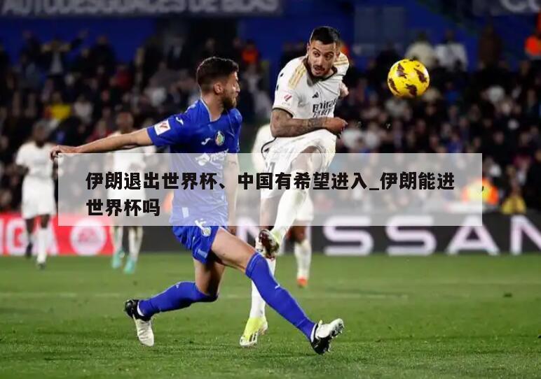伊朗退出世界杯、中国有希望进入_伊朗能进世界杯吗