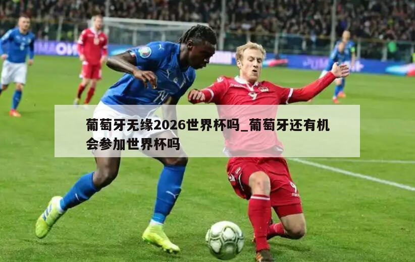 葡萄牙无缘2026世界杯吗_葡萄牙还有机会参加世界杯吗