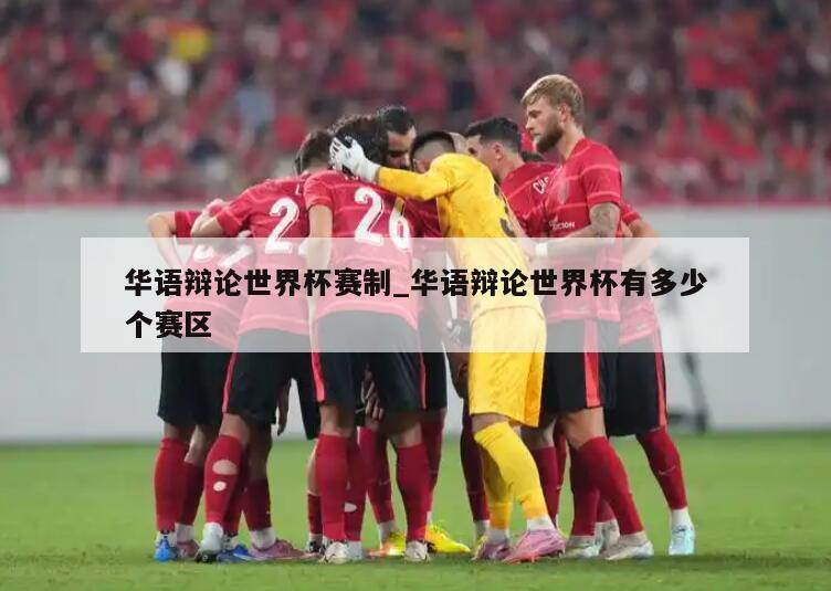华语辩论世界杯赛制_华语辩论世界杯有多少个赛区