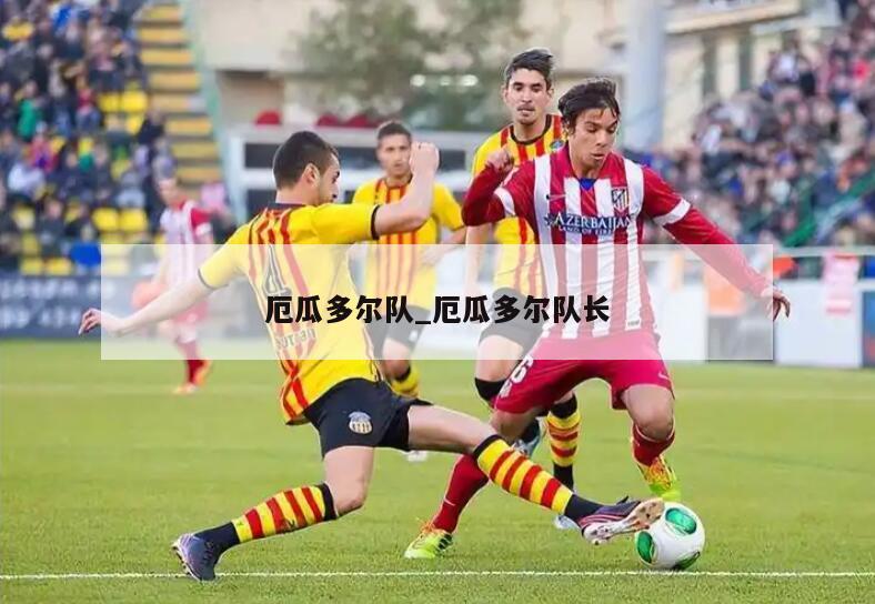 厄瓜多尔队_厄瓜多尔队长