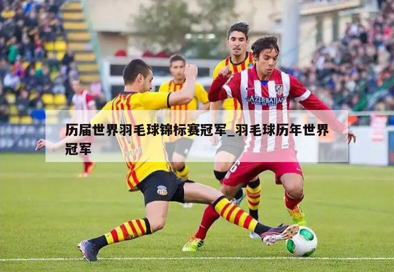 历届世界羽毛球锦标赛冠军_羽毛球历年世界冠军