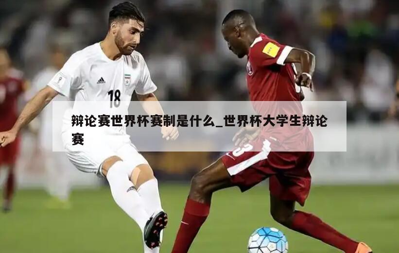 辩论赛世界杯赛制是什么_世界杯大学生辩论赛