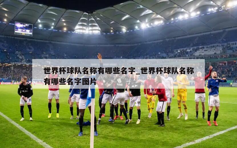 世界杯球队名称有哪些名字_世界杯球队名称有哪些名字图片