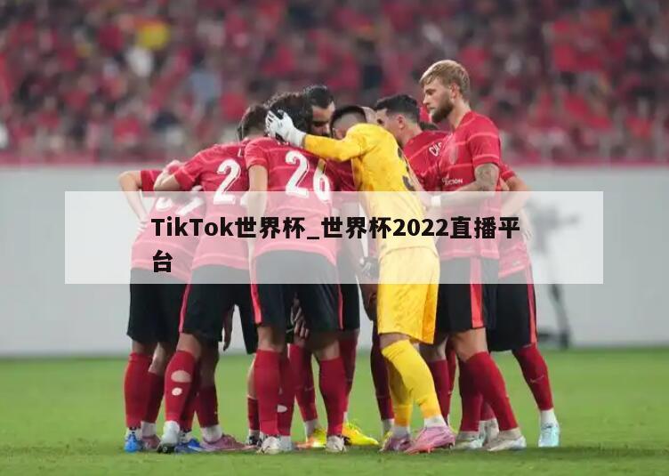 TikTok世界杯_世界杯2022直播平台