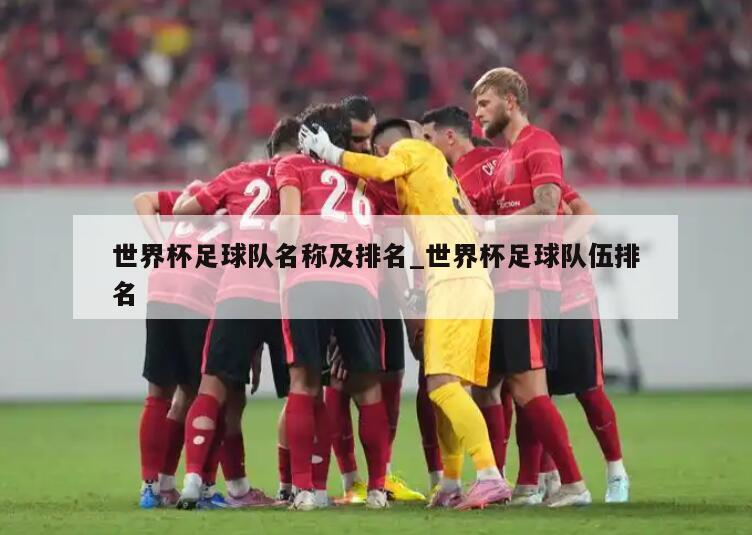 世界杯足球队名称及排名_世界杯足球队伍排名