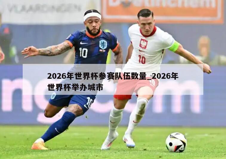 2026年世界杯参赛队伍数量_2026年世界杯举办城市