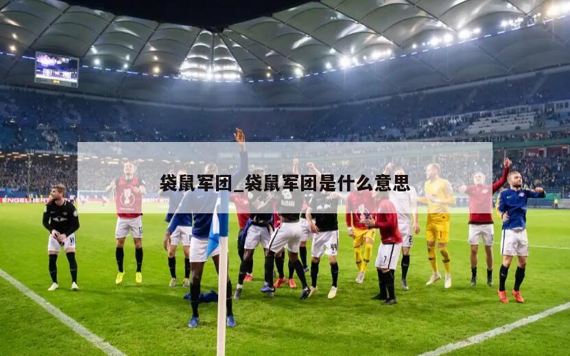 袋鼠军团_袋鼠军团是什么意思