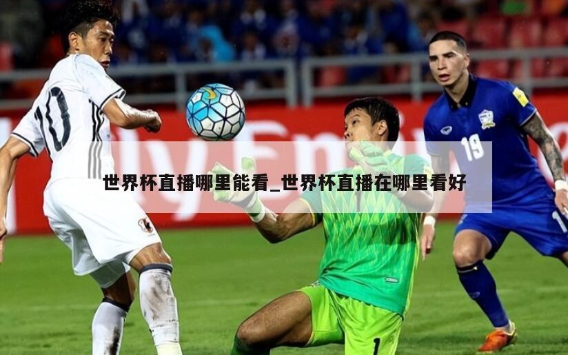 世界杯直播哪里能看_世界杯直播在哪里看好