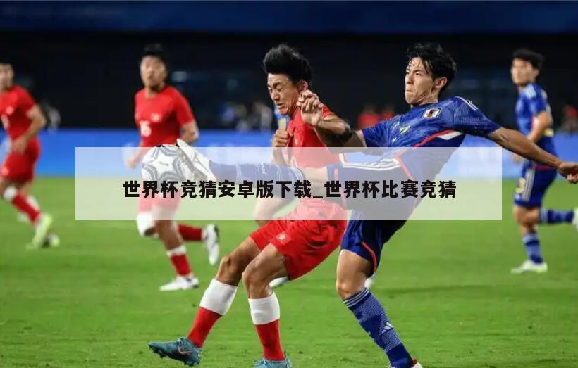 世界杯竞猜安卓版下载_世界杯比赛竞猜