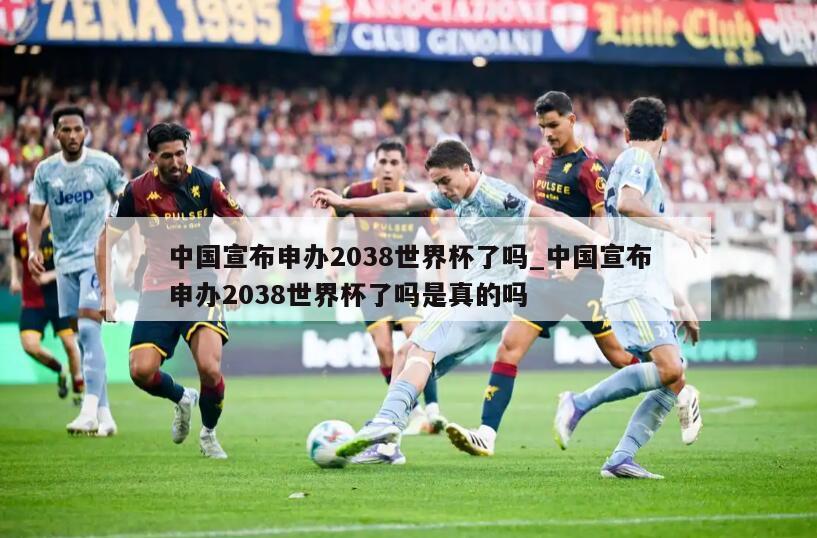 中国宣布申办2038世界杯了吗_中国宣布申办2038世界杯了吗是真的吗