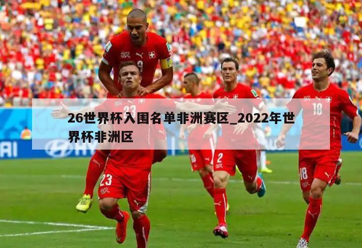 26世界杯入围名单非洲赛区_2022年世界杯非洲区