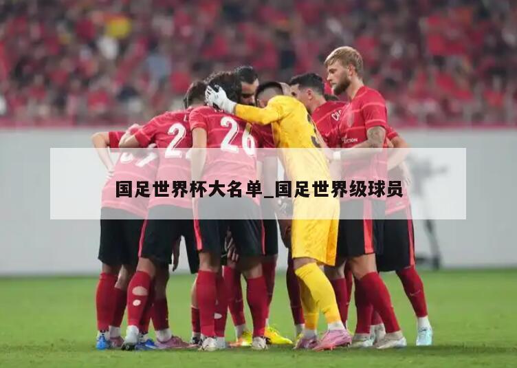 国足世界杯大名单_国足世界级球员