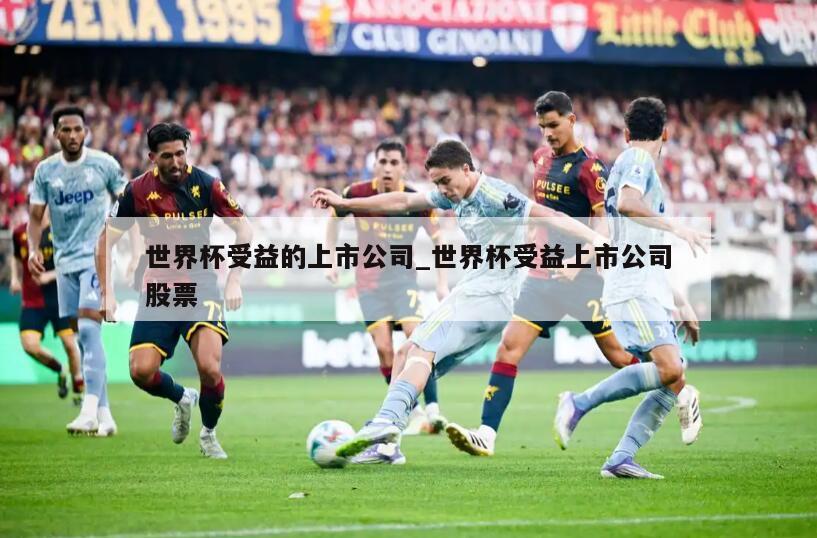 世界杯受益的上市公司_世界杯受益上市公司股票