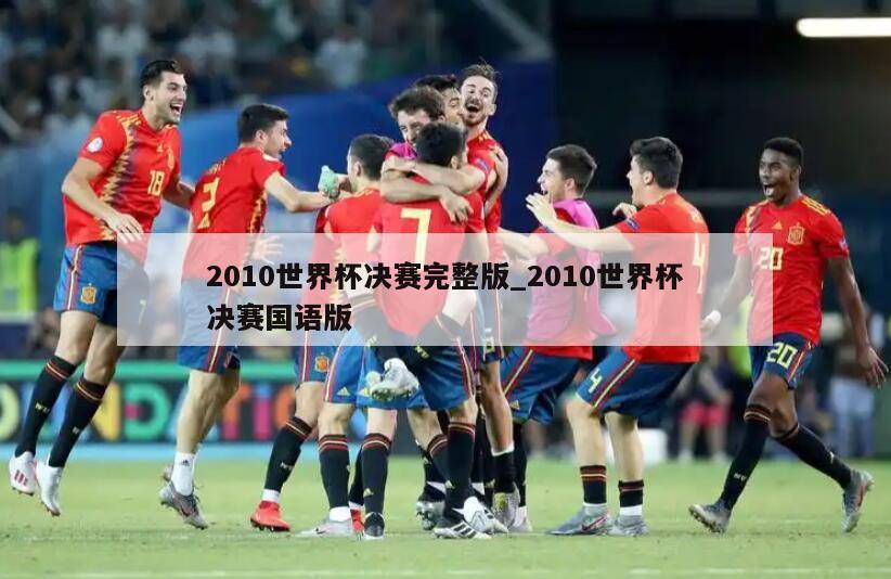 2010世界杯决赛完整版_2010世界杯决赛国语版