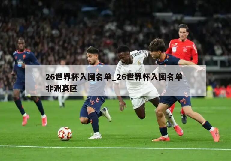 26世界杯入围名单_26世界杯入围名单 非洲赛区