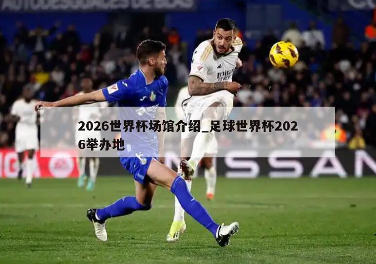 2026世界杯场馆介绍_足球世界杯2026举办地