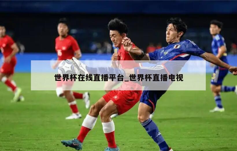 世界杯在线直播平台_世界杯直播电视