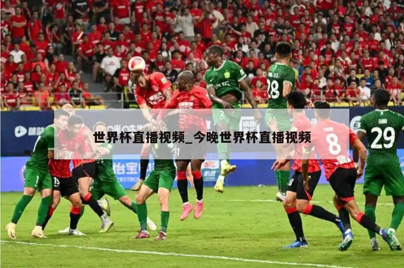世界杯直播视频_今晚世界杯直播视频