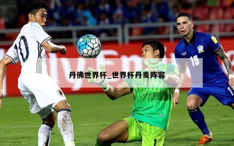 丹佛世界杯_世界杯丹麦阵容