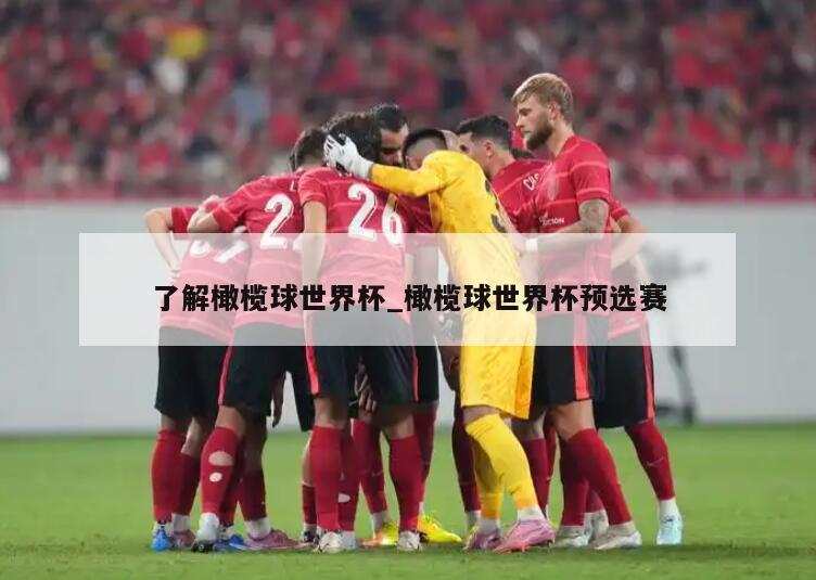 了解橄榄球世界杯_橄榄球世界杯预选赛