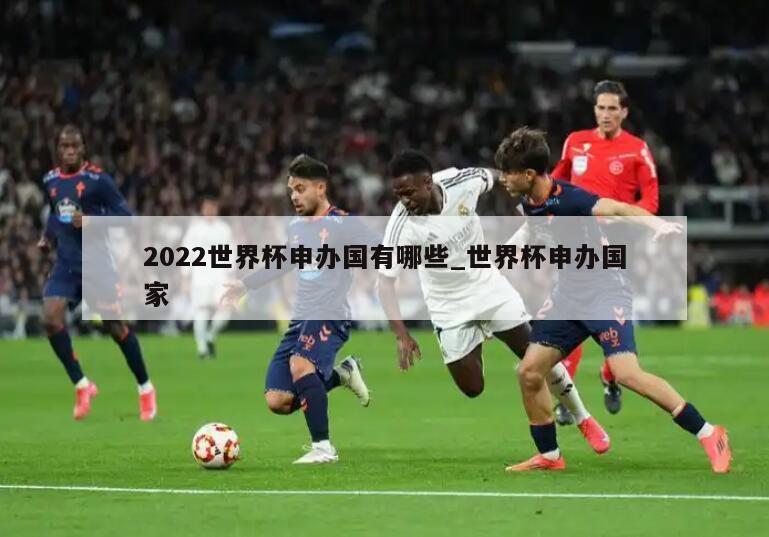 2022世界杯申办国有哪些_世界杯申办国家