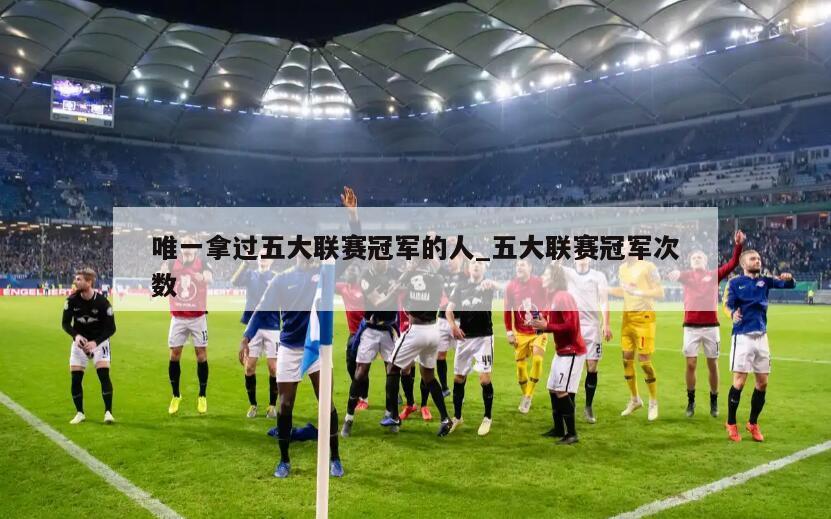 唯一拿过五大联赛冠军的人_五大联赛冠军次数