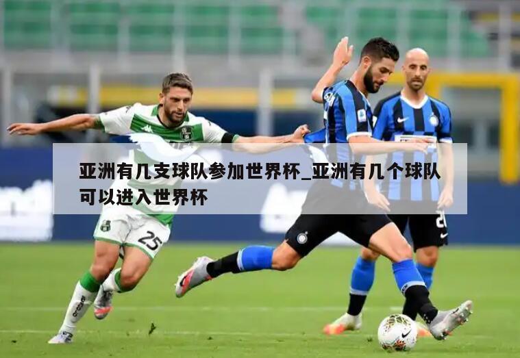 亚洲有几支球队参加世界杯_亚洲有几个球队可以进入世界杯