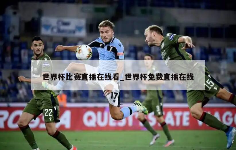 世界杯比赛直播在线看_世界杯免费直播在线