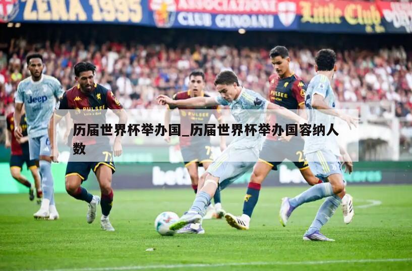 历届世界杯举办国_历届世界杯举办国容纳人数